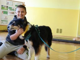 58285904513069546645658125218700354829975862n